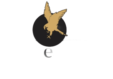 Partner logo 1